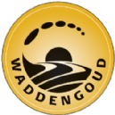 Waddengoud